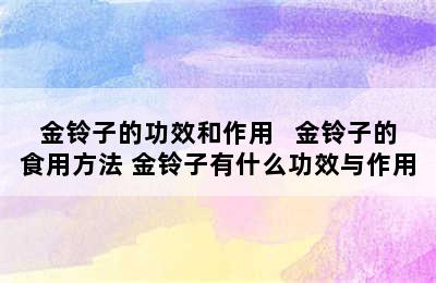 金铃子的功效和作用   金铃子的食用方法 金铃子有什么功效与作用